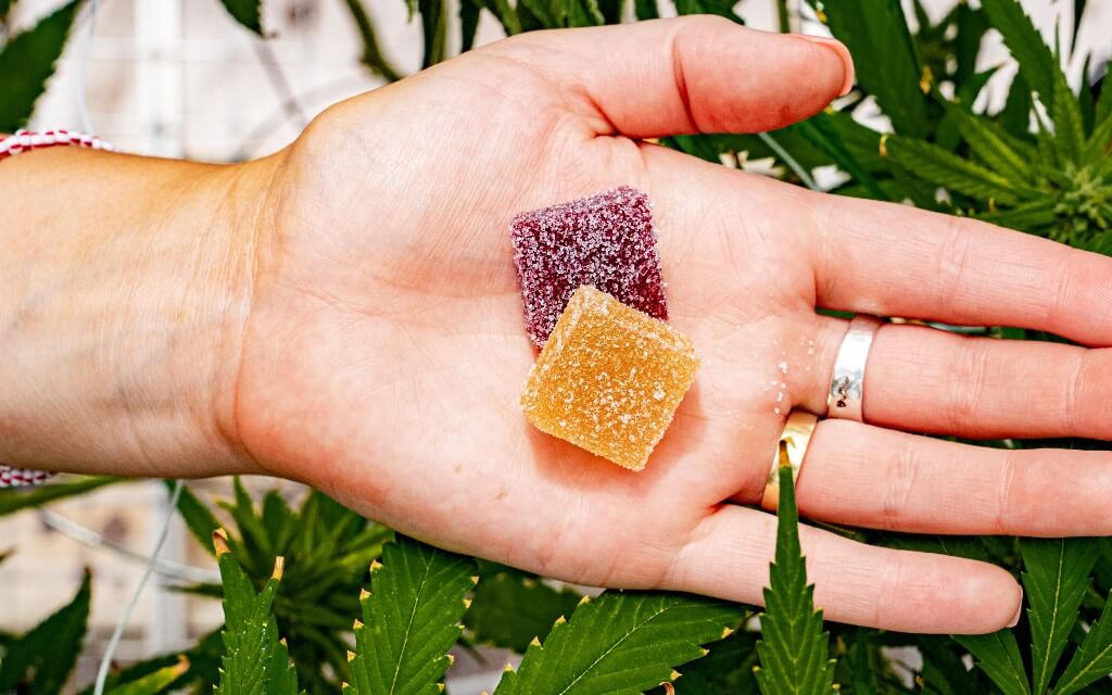 CBD Gummies for Stress and Anxiety Relief