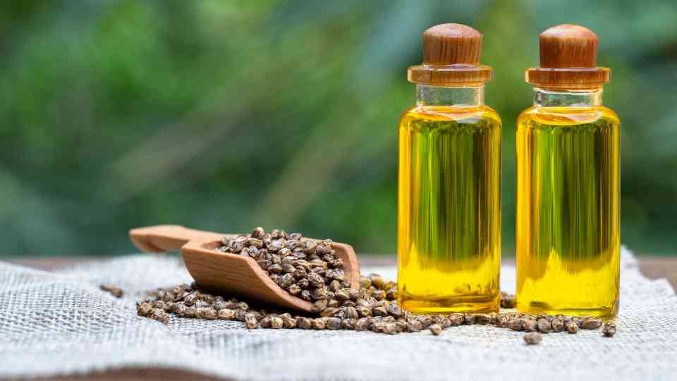 CBD Gummies vs. Tinctures Which is the Better Option for You
