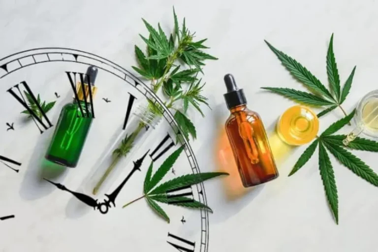How to Choose Between CBD Gummies and Oil in Utah