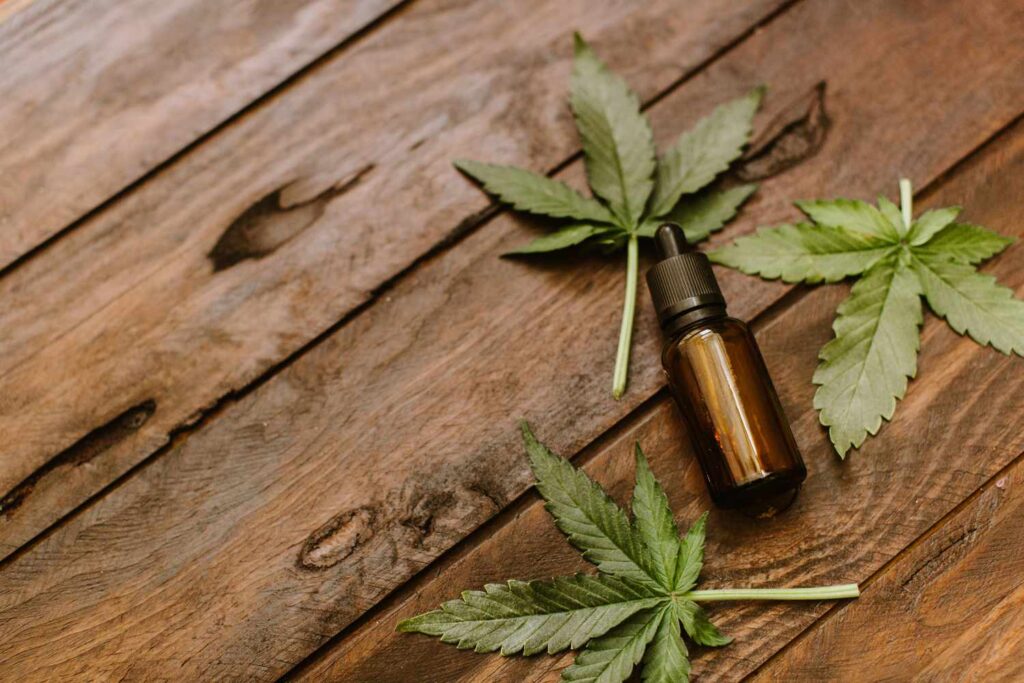 Key Differences Between Gummies and Oil
